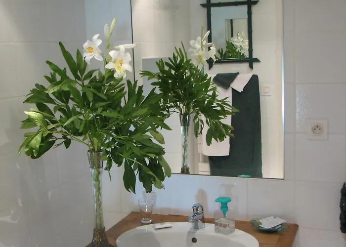 Le Petit Massigny 3* 벨뤼르