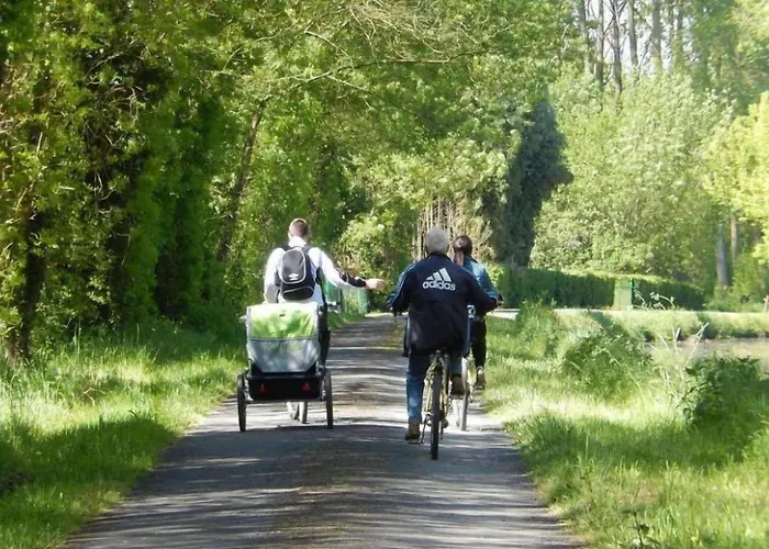 Le Petit Massigny B&B