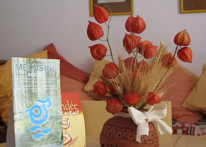 Le Petit Massigny B&B 벨뤼르